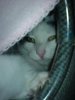 DSC03866.JPG