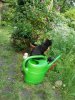 Bungee 1.Mal drauÃŸenNEU 014.jpg