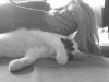 DSC02721.JPG