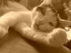 DSC02727.JPG