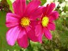 Resize of DSCN3427.JPG