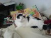DSC04992.JPG