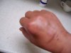 100_0448.JPG