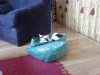 DSC05184.JPG
