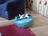 DSC05185.JPG