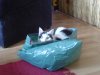DSC05186.JPG