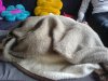 DSC05225.JPG