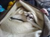 DSC05226.JPG