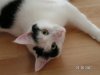test3.JPG
