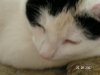 test4.JPG