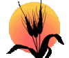 Blume00011.gif