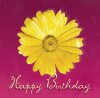 happy_birthday.jpg