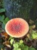 DSC05062.JPG