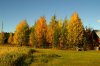 herbstPICT2444.jpg