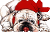 dog014.gif dog014.gif