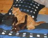 LuSpu Bett 19.01..jpg