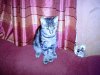 PICT0163.JPG
