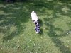 rudi und pepper IV.jpg