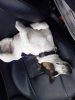 Foto1116.jpg