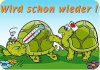 wirdschonwieder.jpg