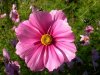 DSCN7437.JPG