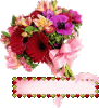 blinkie00100mohr9.gif blinkie00100mohr9.gif