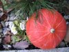 hokaido 07 042 Kleine Webansicht.jpg