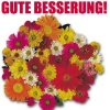 blumenstrauss_besserung.JPG