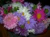DSCN7448.JPG