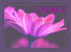 KoccHWvms1s44193_4407DANKE2.jpg