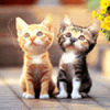 669332wq98chfu8j Katzen.gif