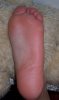 100_2064.JPG
