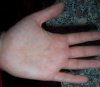 100_2069.JPG