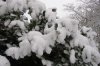 Schnee 006 600X399.jpg