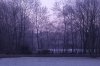 Dezenber 2007 005 600X399.jpg