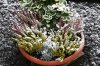 Dezember 2007 219 600X399.jpg