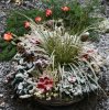 Dezember 2007 223 599X600.jpg