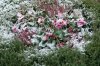 Dezember 2007 231 600X399.jpg