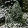 Dezember 2007 242 597X600.jpg