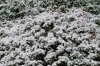 Dezember 2007 247 600X399.jpg