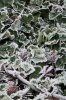 Dezember 2007 252 400X600.jpg