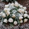 Dezember 2007 256 599X600.jpg