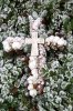 Dezember 2007 261 400X600.jpg