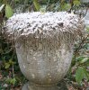 Dezember 2007 266 599X600.jpg