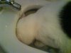 DSC06377.JPG