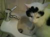 DSC06379.JPG