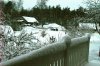 winterPICT2609.jpg