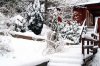 winterPICT2619.jpg