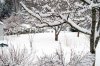 winterPICT2621.jpg