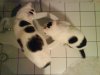 DSC06517.JPG
